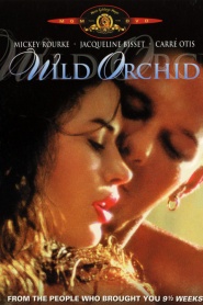 Wild Orchid