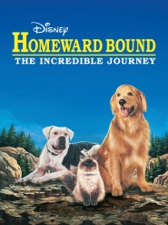 Homeward Bound: The Incredible Journey