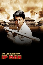 The Legend Is Born: Ip Man