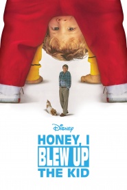 Honey, I Blew Up the Kid