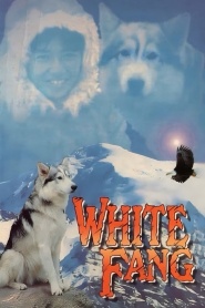 White Fang