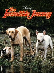 The Incredible Journey