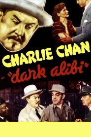 Dark Alibi
