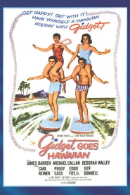 Gidget Goes Hawaiian