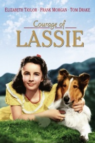 Courage of Lassie